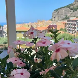  Appartement Maison Marianna